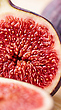 17163903