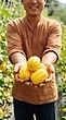 17163999