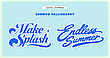 17164861