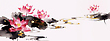 17164960