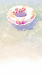 17166724