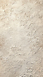 17167021