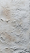 17167023