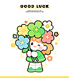 17168511
