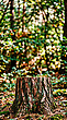 17168831