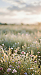 17169755