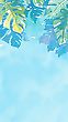 17170904