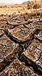 17175244