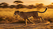 17177994