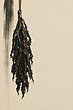 17178427