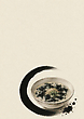 17178790