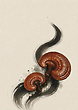 17178824