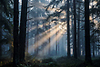17183933