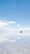 17184006