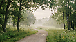 17184034