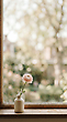17184456