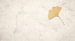 17185128