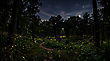 17186759