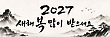 17187182