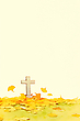 17187906