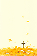17187909