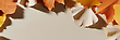 17192247