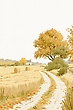 17196903