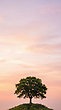 17197824
