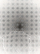 17200443