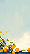 17200504