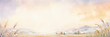 17200524