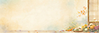 17200529