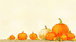 17210115