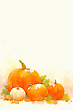 17210116