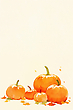 17210122