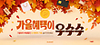 17210725