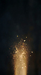 17215979