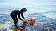 17218081