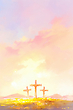 17223349