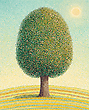17240870